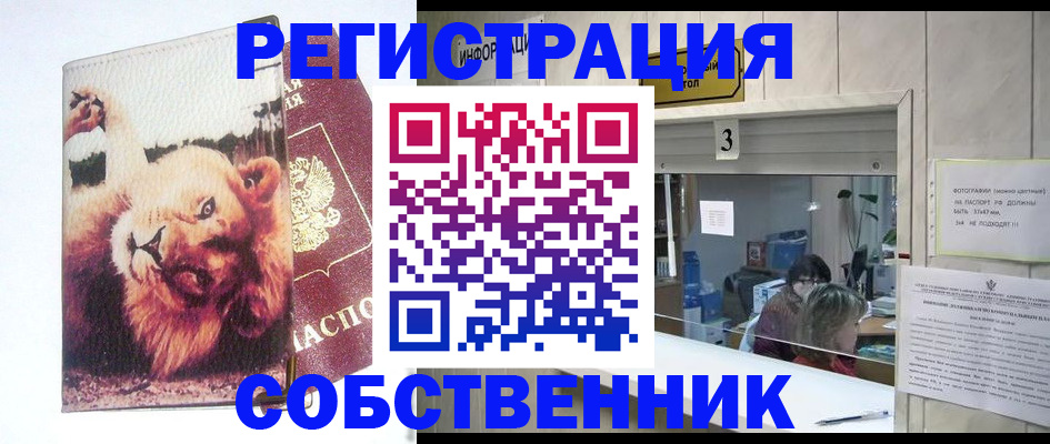 прописка поиск в Великих Луках